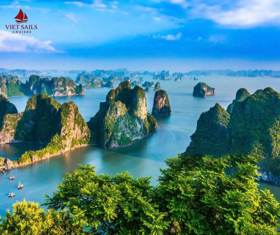 Ha Long Bay Travel Guide 2025: Everything You Need to Know