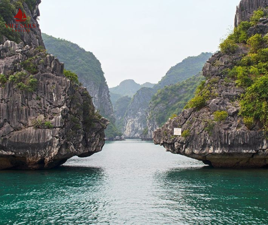 Cong Do Island Bai Tu Long Bay Travel Guide 2026