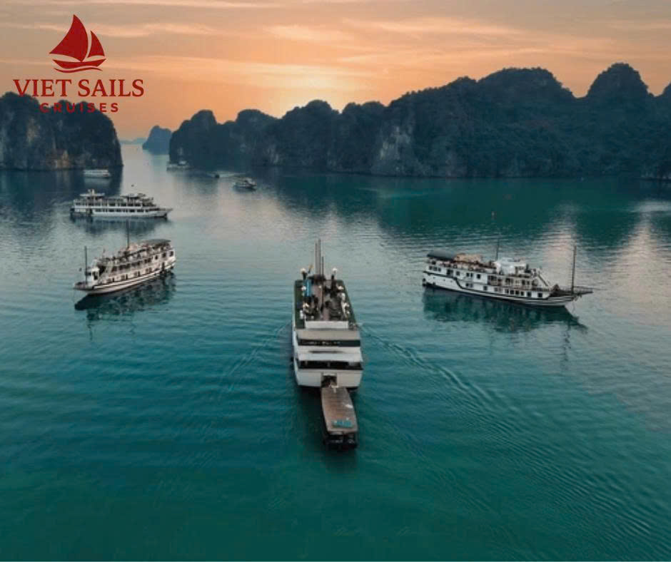 Comparison: Wooden vs Steel Bai Tu Long Bay Cruise